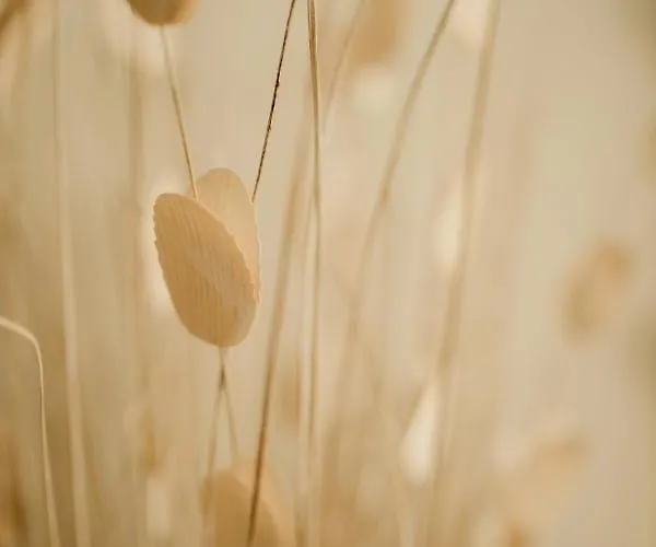 Privatunterkunft H.oe.h *